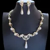 Picture of Necklace Elegant Jewelry Set